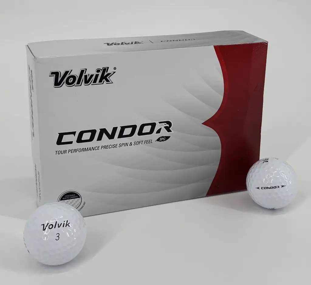 condor blc 2.webp