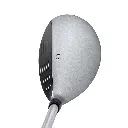 pearl-hybrid-crown.webp