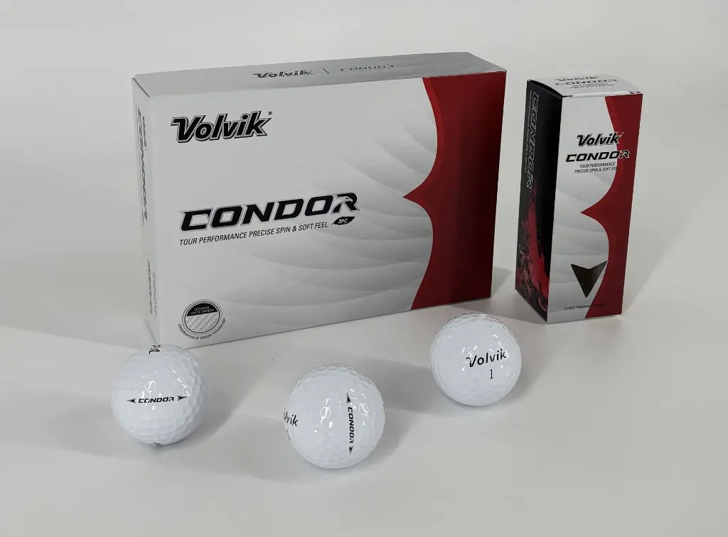 condor 1.webp