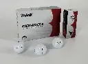 condor 1.webp