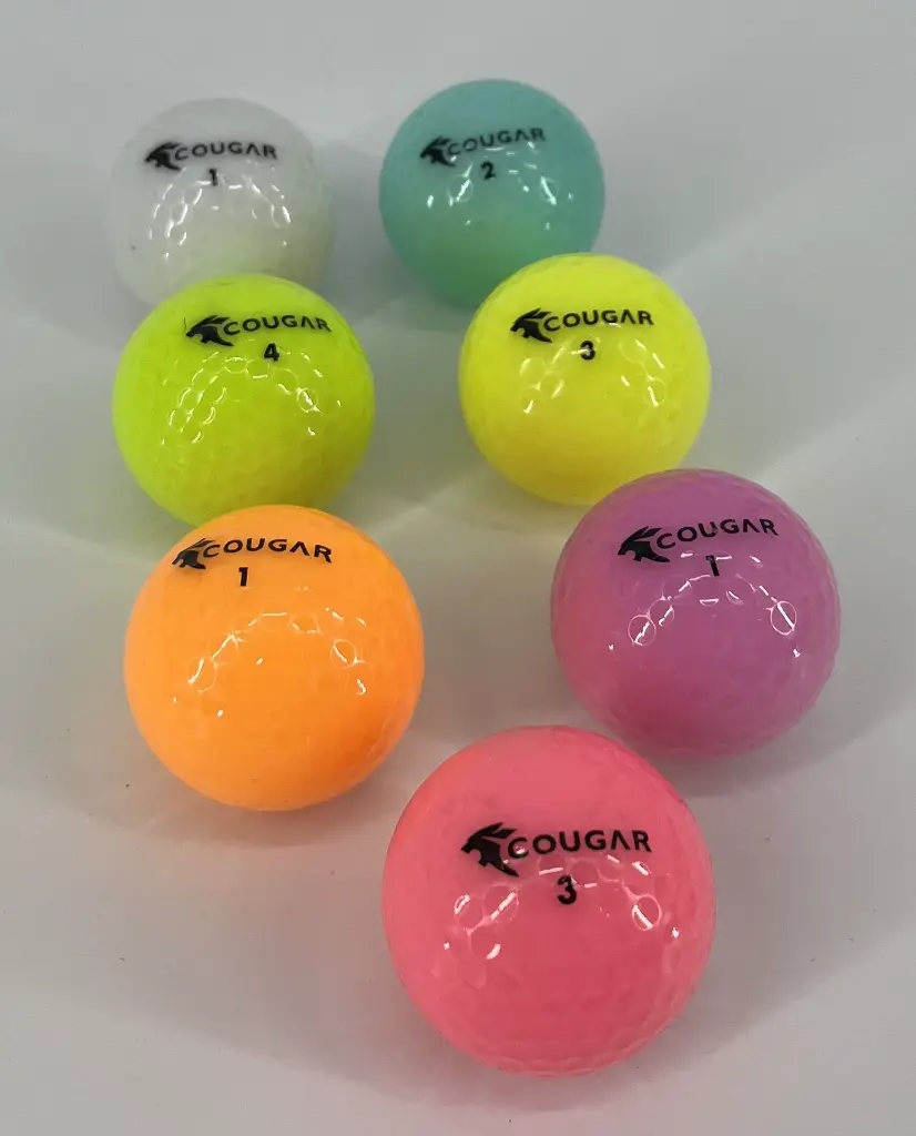 COUGAR RAINBOW 3.webp