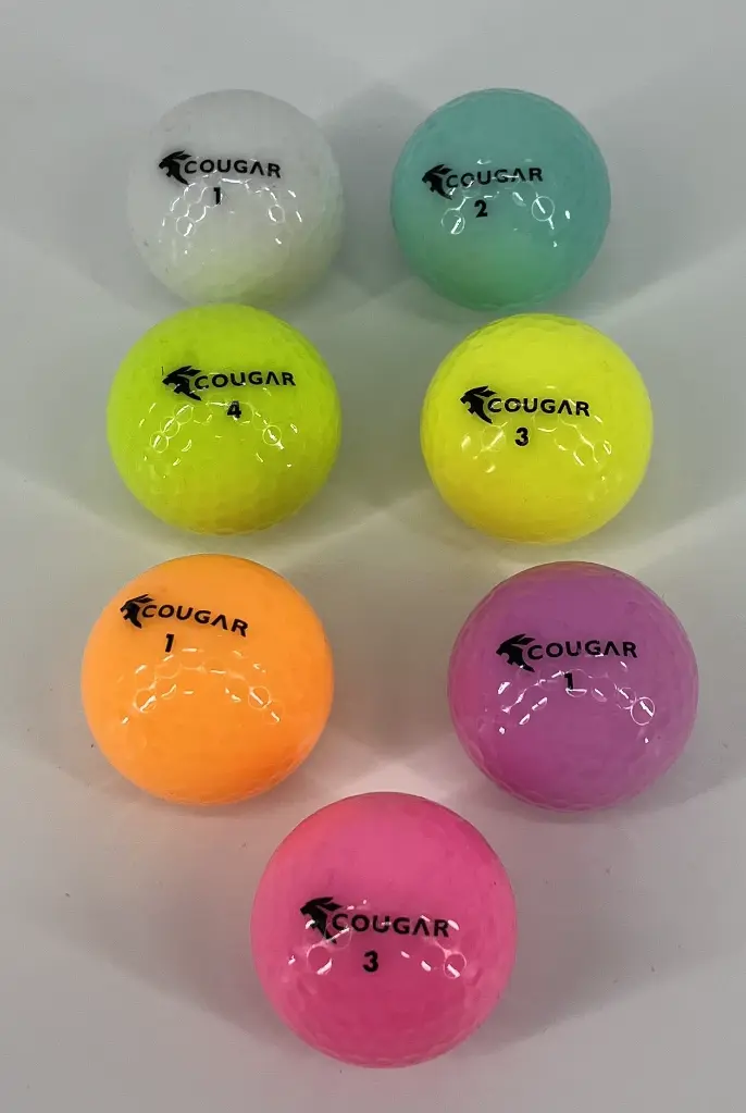 COUGAR RAINBOW 2.webp