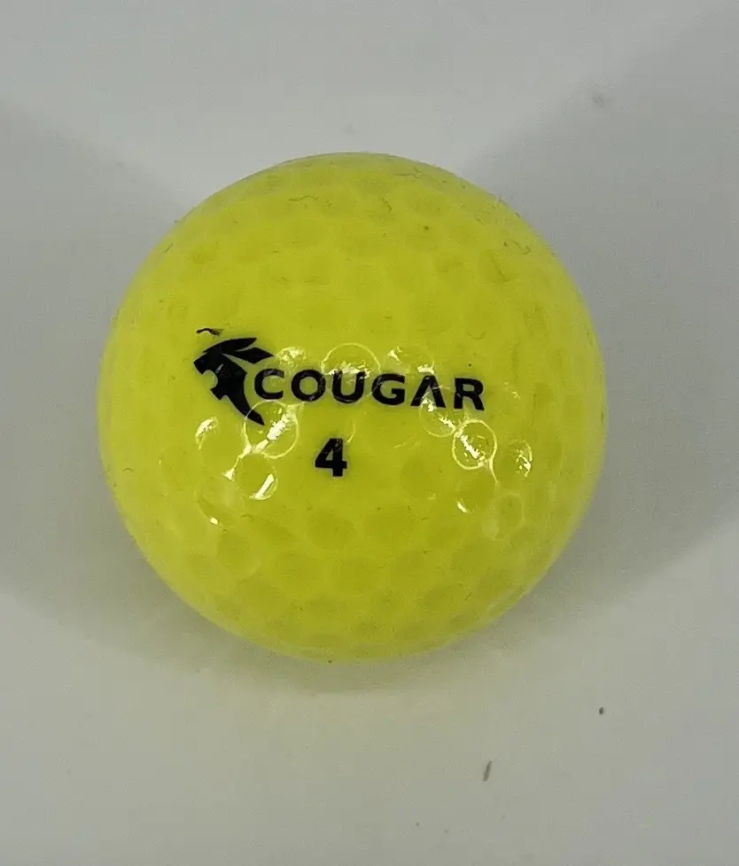 COUGAR JAUNE 1.webp