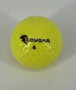 COUGAR JAUNE 1.webp