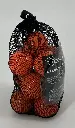 COUGAR ORANGE 1.webp