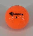COUGAR ORANGE 2.webp