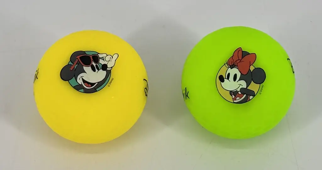 MICKEY ET MINNIE HOLIDAYS 3.webp