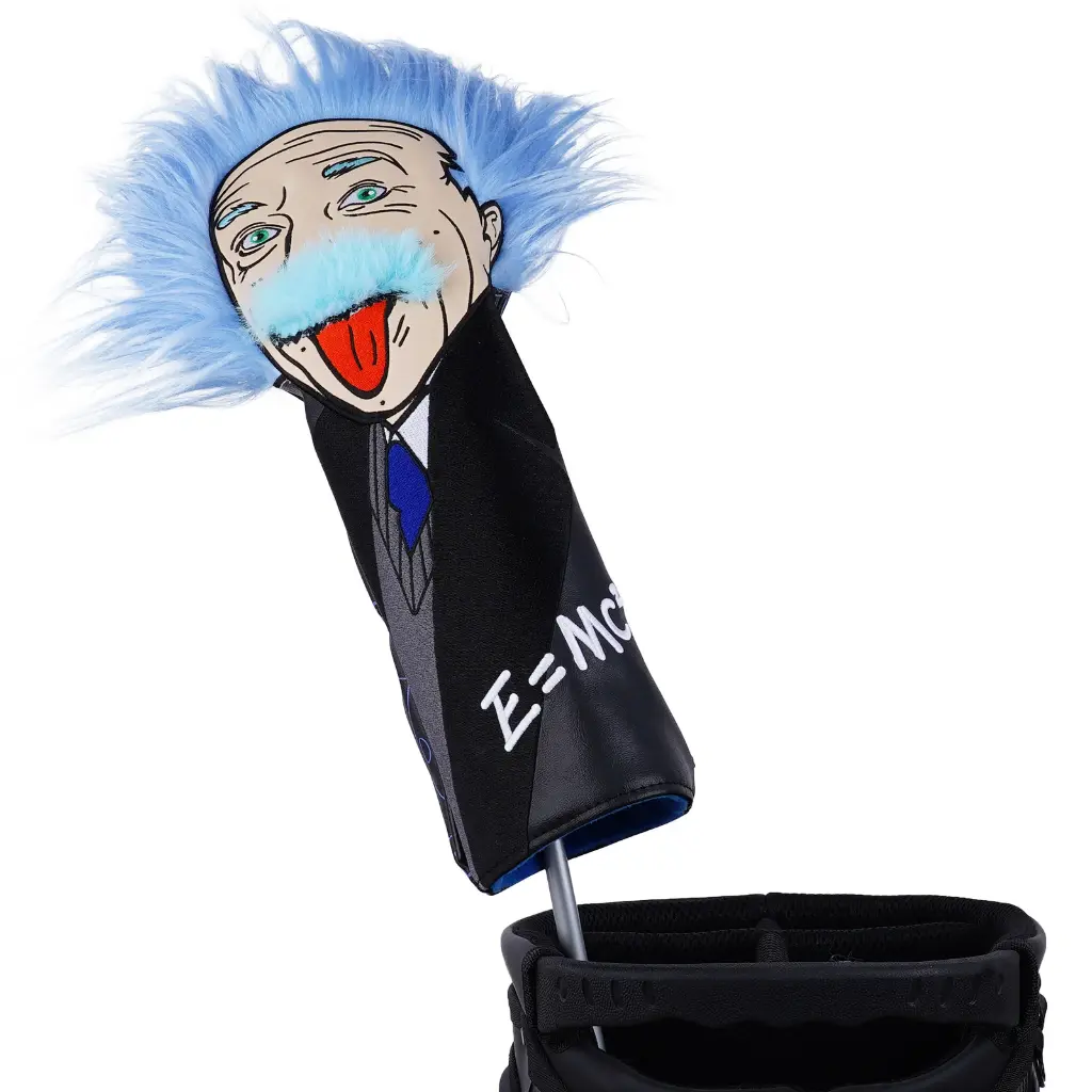 Einstein 4..webp