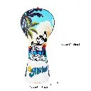 9 (3).webp
