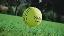 bbddff9a6d2e4998a85d6c096c80e0da.thumbnail.0000000000.webp
