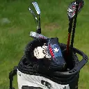 orang-outan 2.webp