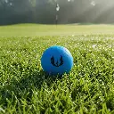 Website_LS-1_The_Fairway_Lie_2.webp